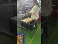 Zusammengefasste 3D-Plastik-PVC-Vinyl-Design-Spielzeug