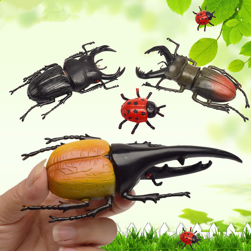 OEM Fabrik benutzerdefiniert Lebensbild Modell Simulation Insektenspielzeug Kindergarten Lehrhilfen Witz Spielzeug