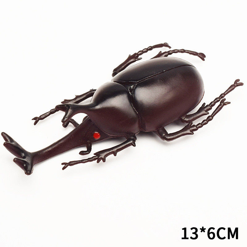 OEM Fabrik benutzerdefiniert Lebensbild Modell Simulation Insektenspielzeug Kindergarten Lehrhilfen Witz Spielzeug