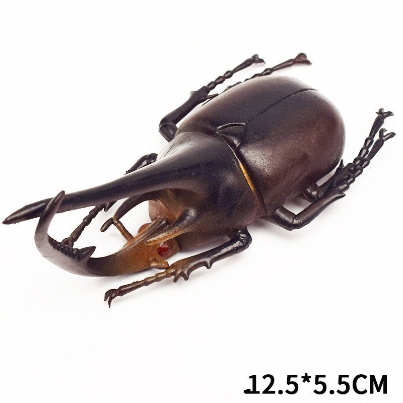 OEM Fabrik benutzerdefiniert Lebensbild Modell Simulation Insektenspielzeug Kindergarten Lehrhilfen Witz Spielzeug