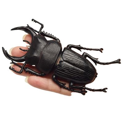 OEM Fabrik benutzerdefiniert Lebensbild Modell Simulation Insektenspielzeug Kindergarten Lehrhilfen Witz Spielzeug
